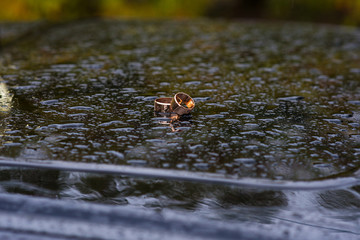 Wedding rings on a background with raindrops
