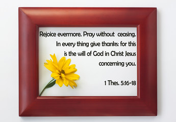 Bible quote in wood frame yellow flower.Inspiration Christian praying verse.Rejoice evermore. Pray without ceasing.In every thing give thanks:for this is the will of God in Christ Jesus concerning you