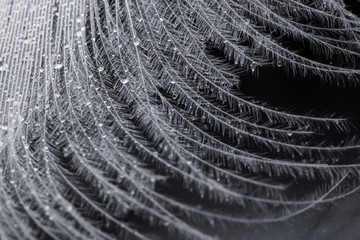 computer power burning, on a black background, close-up, short circuit, electrical equipment ignition