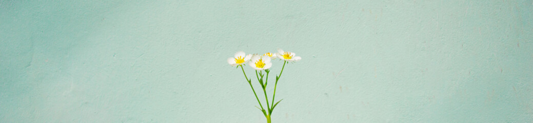 beautiful fresh cute little flowers, small bouquet, idea for a screensaver