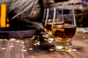 Small tasting glasses with aged Scotch whisky on old dark wooden vintage table with barley grains