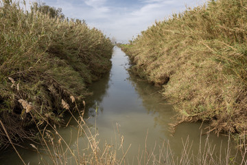 mon aHula - lake and nature reserve for birds