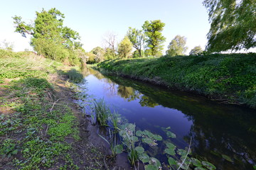 Fototapeta na wymiar The River Mole early in the morning in Spring 2020.