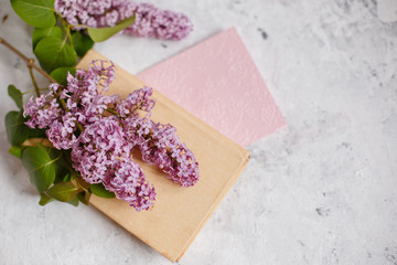 a branch of lilac and a pink card lie on a gray background
