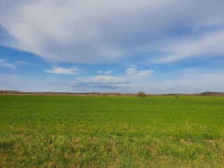 green field and blue sky