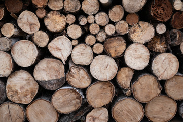 Stack of wooden logs. Abstract wooden background