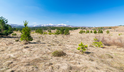 Panoramic view of Vlasina lake's shore at early spring