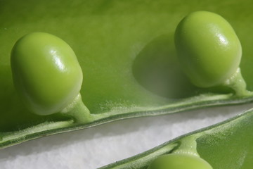   guisante, vaina,  semillas, legumbre, vegetariana