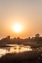 Obraz premium Lumbini sunset