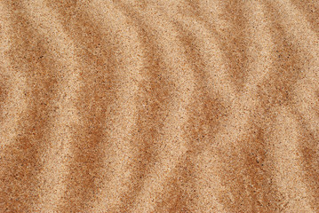 Fototapeta na wymiar patterns and lines in the sand. background