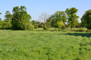 The English countryside in Spring 2020
