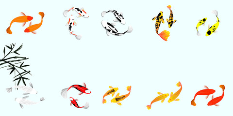 Koi fish vector illustration. Japanese carp and colorful oriental koi in Asia set of Chinese goldfish and traditional fishery. Isolated on blue background.