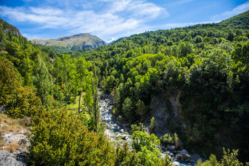 Fototapeta na wymiar The Panticosa forest in the Pyrenees, Aragon. Spain
