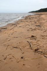 
Shore of the Baltic Sea in Estonia