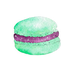 Watercolor mint macaroon isolated on white background. Hand drawn illustration on paper