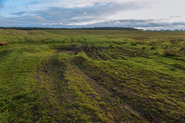 Fototapeta premium field in the village in sunny weather 