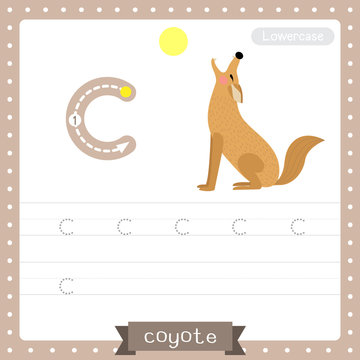 Letter C lowercase tracing practice worksheet. Howling Coyote