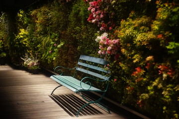 青いベンチと花の壁