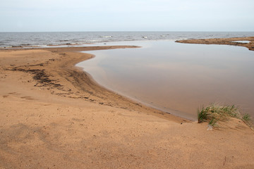 
Shore of the Baltic Sea in Estonia