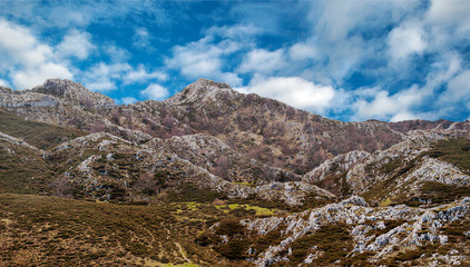 Fototapeta na wymiar Mountains of Asturias in the north of Spain in a cloudy day