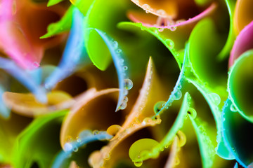 colorful plastic petals background, pattern