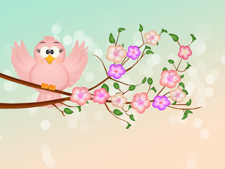 bird on the peach blossom branch