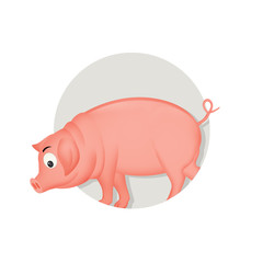 icon of pig for horoscope Chinese on white background