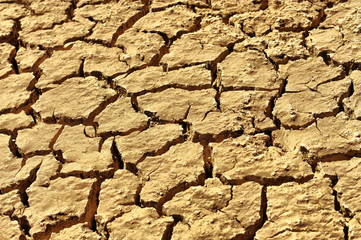 cracked clay ground into the dry season