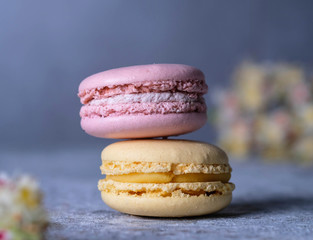 color macaroon sweet dessert 