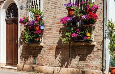 Fototapeta na wymiar Pot flowers on an italian street. Space decoration. Summer