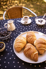 breakfast in the garden with coffee, yogurt, fresh blueberries and a plate of croissants in the foreground