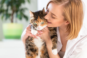 Close up of smiling woman in white shirt kissing, hugging, embracing with tenderness and love domestic cat in home. Love to the animals, pets concept