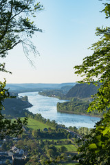 Fototapeta na wymiar Blick auf den Rhein, Krahnenberg, Andernach