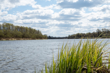 Nature landscape in spring. River, forest and blue sky.