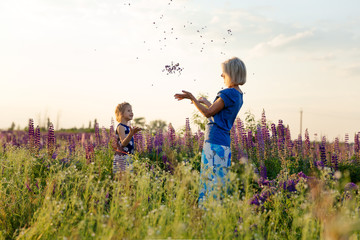 Happy grandmother and granddaughter plays on a flowering lupine field. Family concept