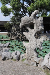 Jardin du Bosquet du Lion à Suzhou, Chine