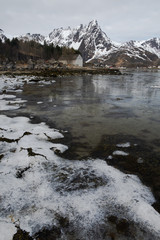 Freezing morning in small town Ballstad located in Lofoten islands. View to beutiful steep and snowy mountains and frozen bay with a seaweed. Natural wonder of Norway. 
