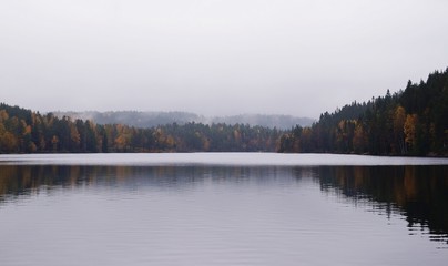 Foggy lake