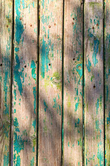 Close-up view of vintage green wooden background texture. Shabby green wooden planks. Aged wooden planks with shadows from the tree branches. Abstract background