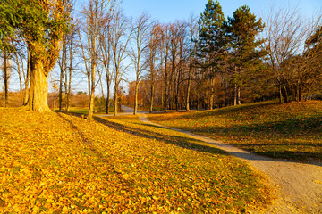 Beautiful autumn park.