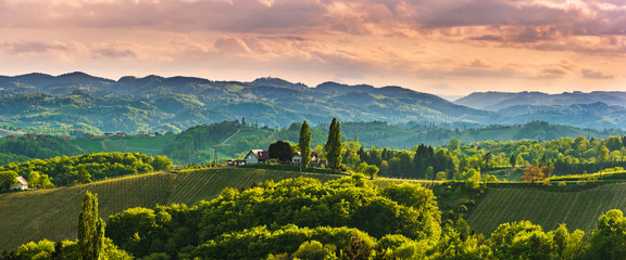 Panoramic view at famous wine street in south styria, Austrian destination, tuscany like vineyard...