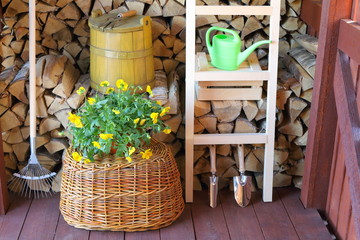The set of garden tools and bush of Petunia flowers in a wooden shed on the background of stack...