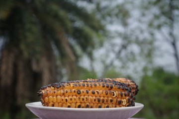 Roasted Corn or Maize with Selective Focus in a Plate, Perfect for Wallpaper