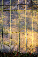 Old wooden wall with evening sun