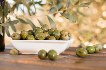 olives on table in an olive grove