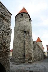 Obraz premium Sights and the city of Tallinn in Estonia