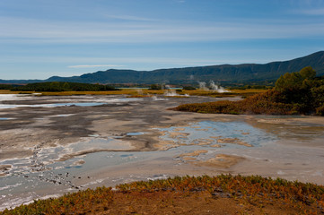 Bear tracks in acid dirt, the Caldera of Uzon volcano, Kamchatka.