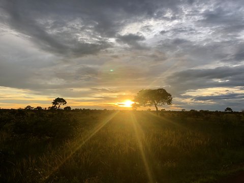 Sunset in Kafue National Park