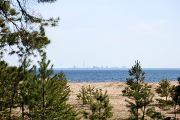 Fototapeta na wymiar Silhouette of Saint Petersburg russia view from the pine forest on a beach