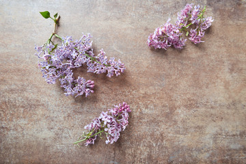 Purple lilac on rustic stone background. Top view. Copy space.